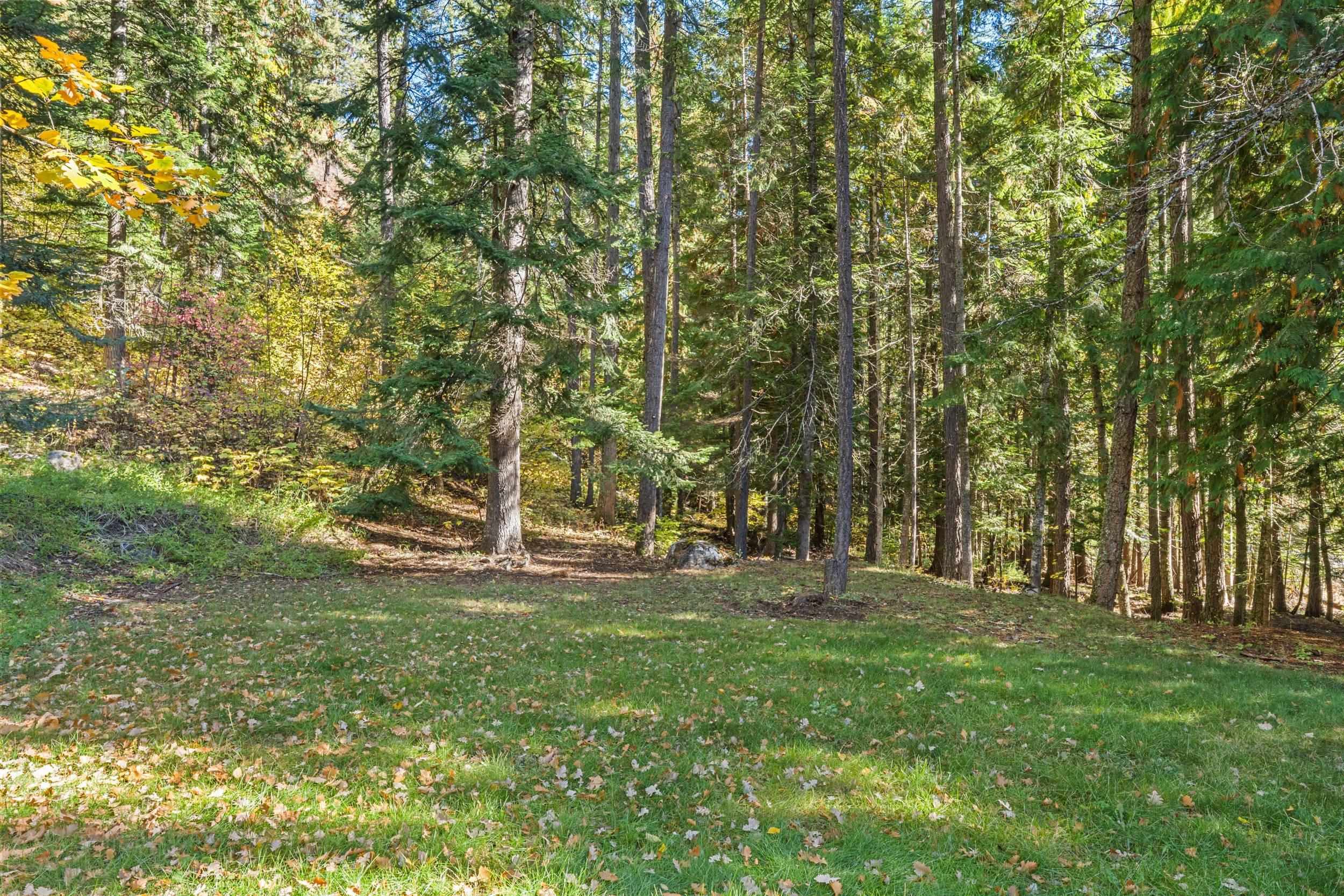 2841 Sullivan Lake Road Ione, WA 99139 - Photo 41 of 50