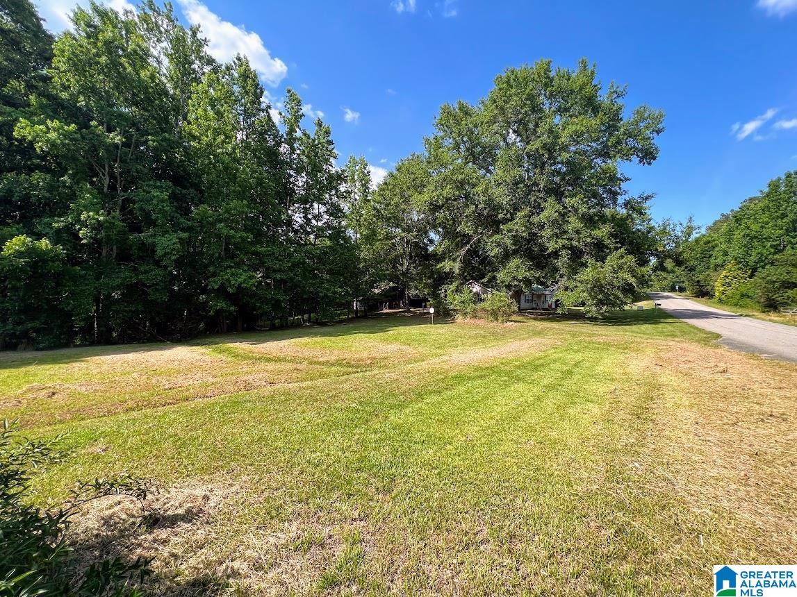 14791 County Road 10, Unit 45 ACRES Ranburne, AL 36273 - Photo 36 of 43
