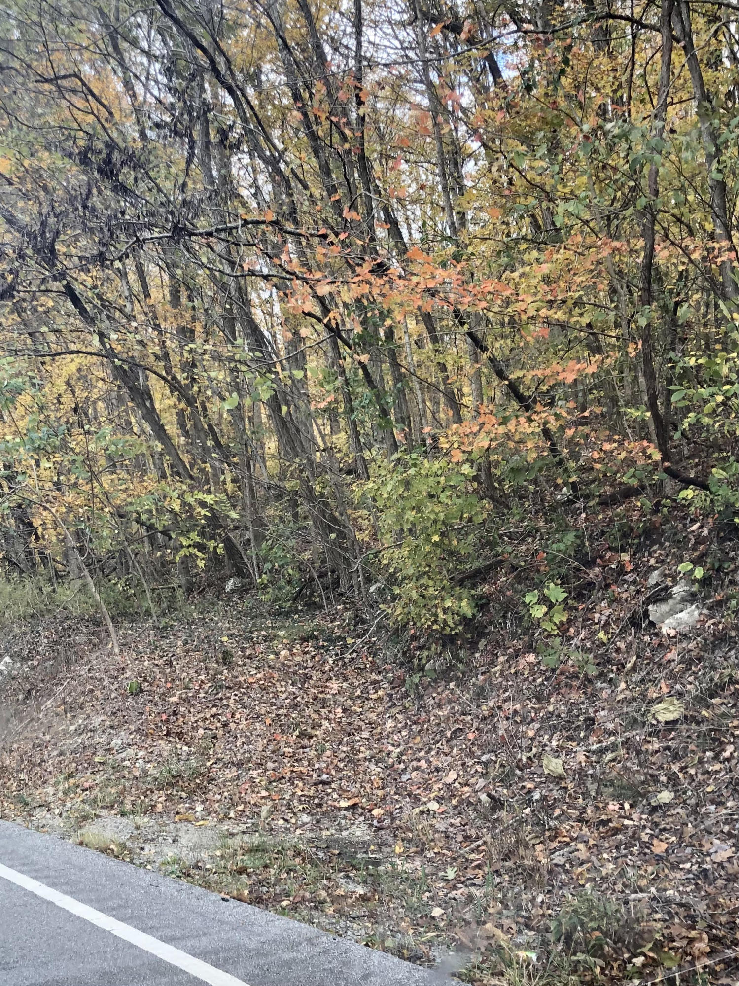 Side Waldens Ridge Signal Mountain, TN 37377 - Photo 1 of 1 side of Walden 127