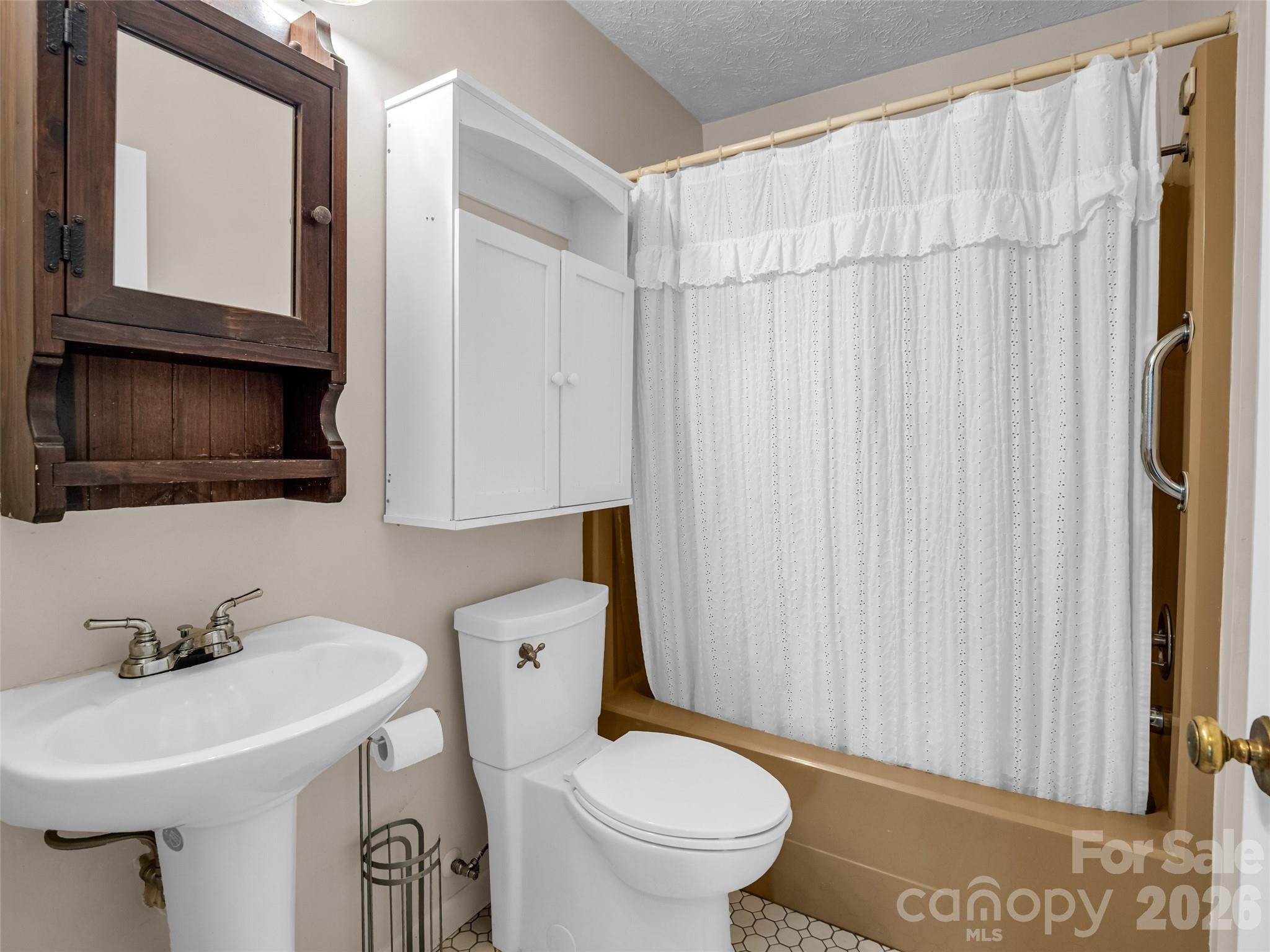 1 Alpine Way Swannanoa, NC 28778 - Photo 16 of 48