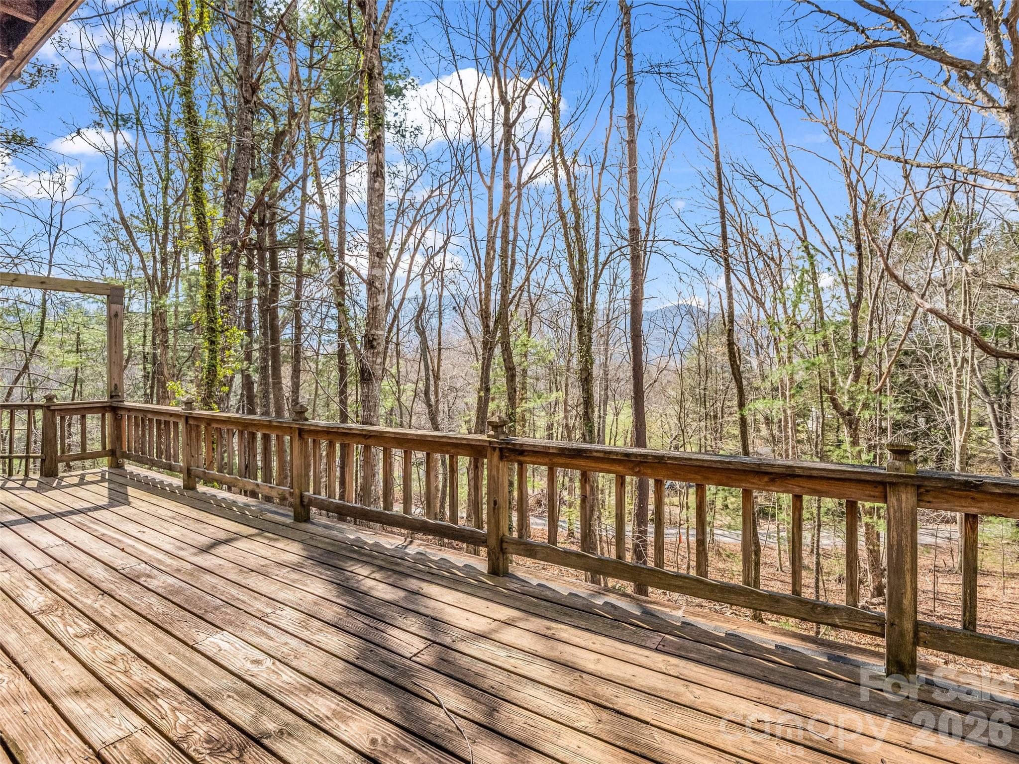 1 Alpine Way Swannanoa, NC 28778 - Photo 20 of 48