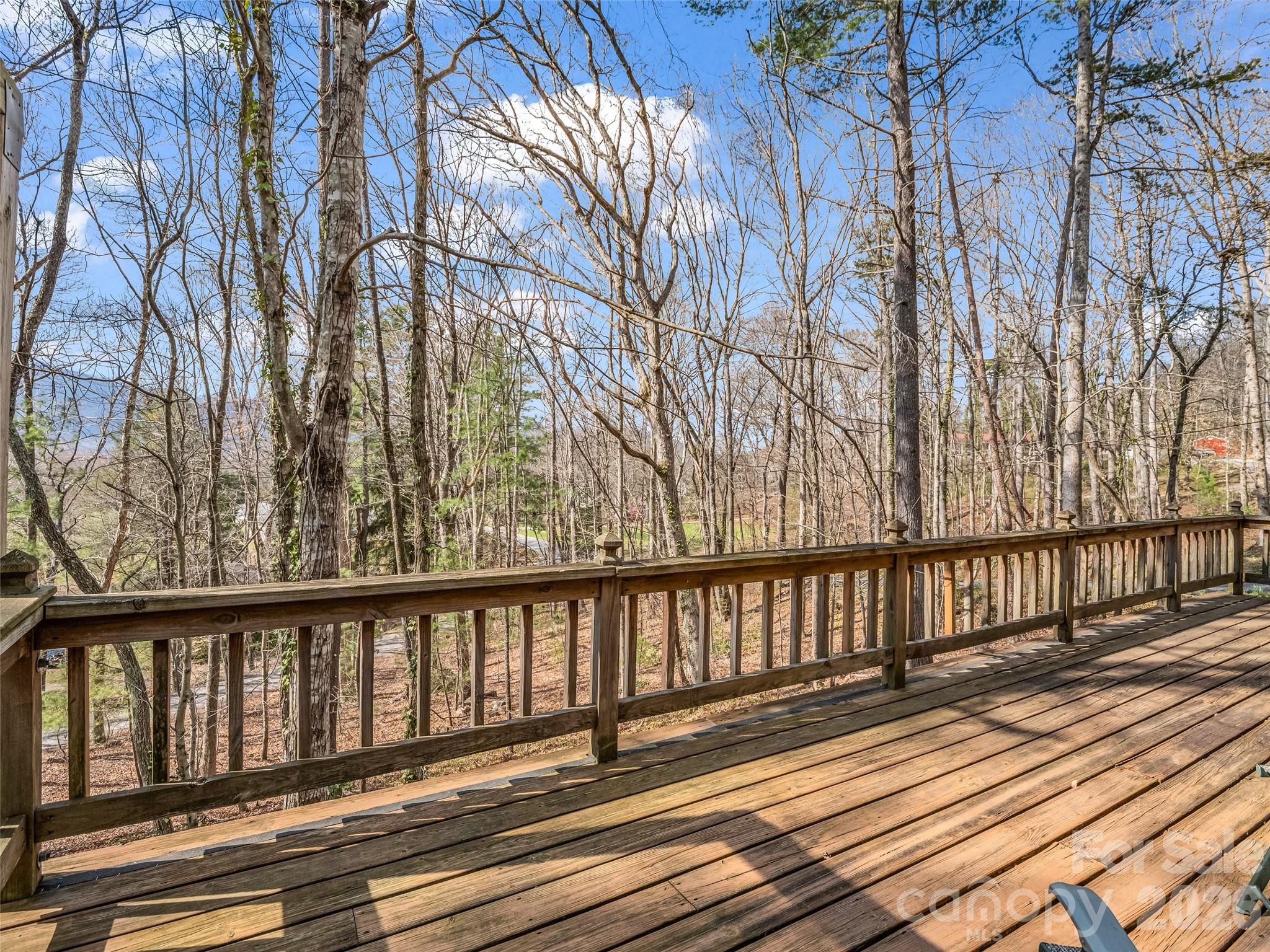 1 Alpine Way Swannanoa, NC 28778 - Photo 21 of 48