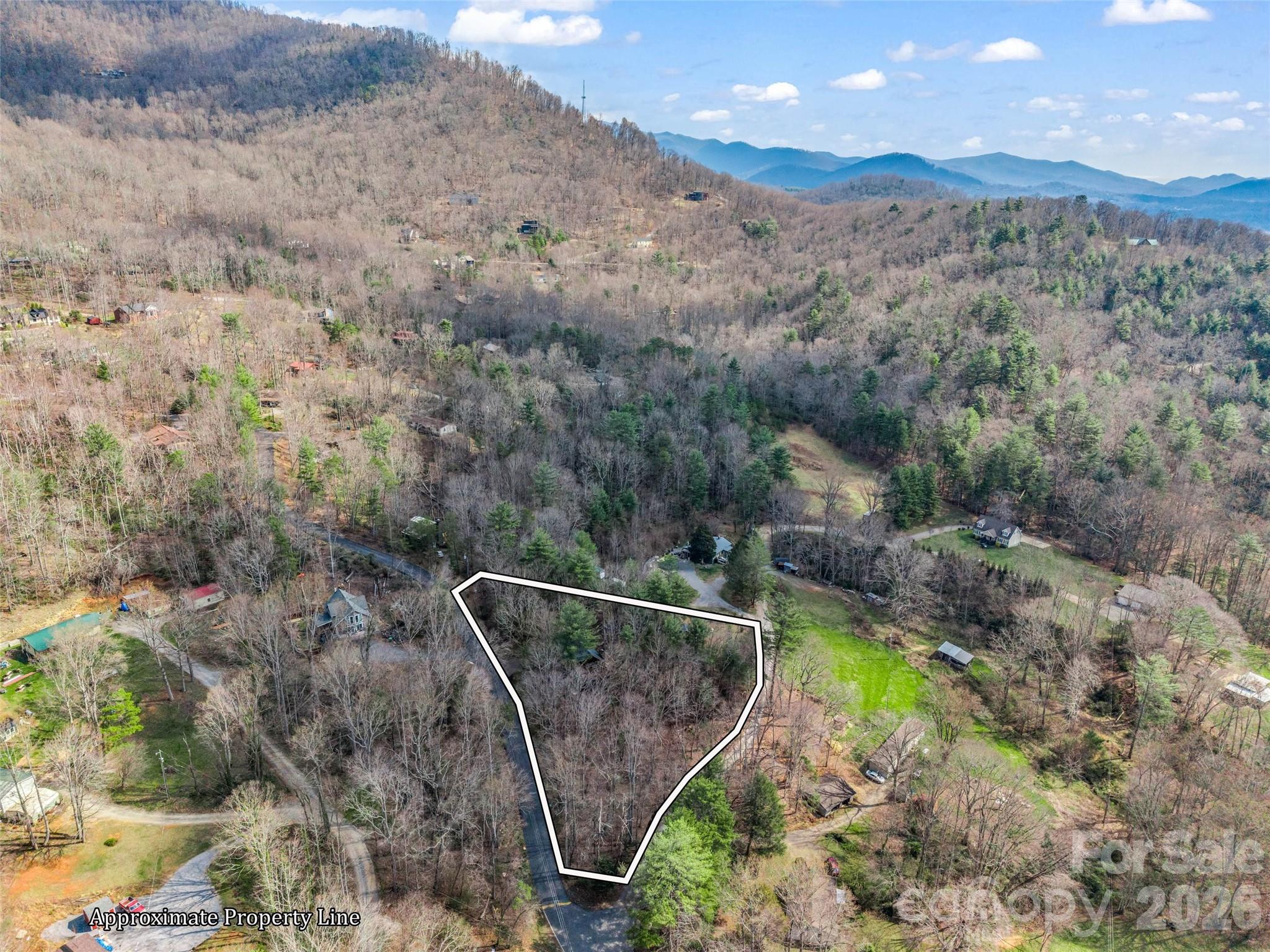 1 Alpine Way Swannanoa, NC 28778 - Photo 45 of 48