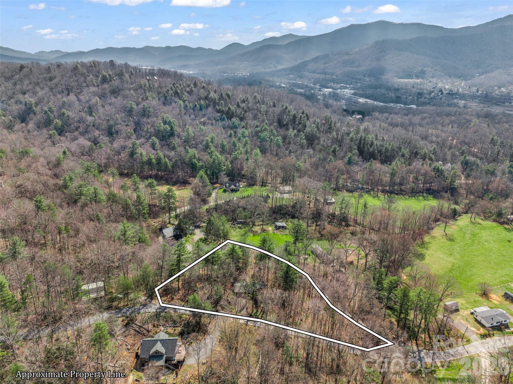 1 Alpine Way Swannanoa, NC 28778 - Photo 47 of 48