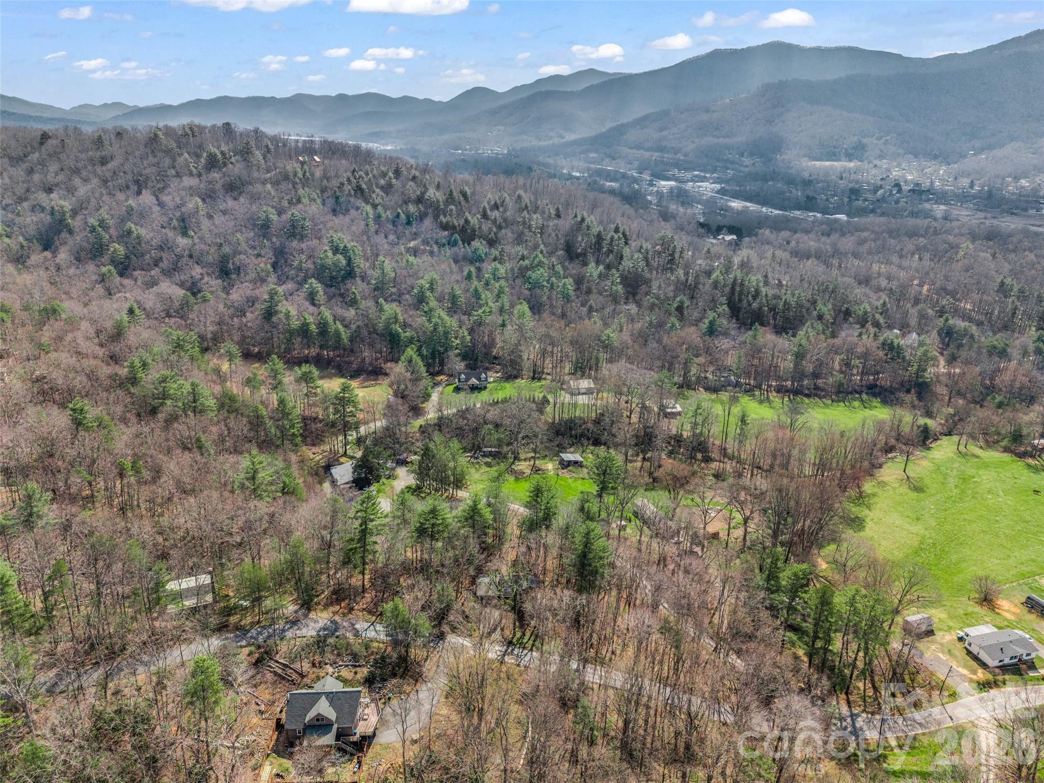 1 Alpine Way Swannanoa, NC 28778 - Photo 7 of 48