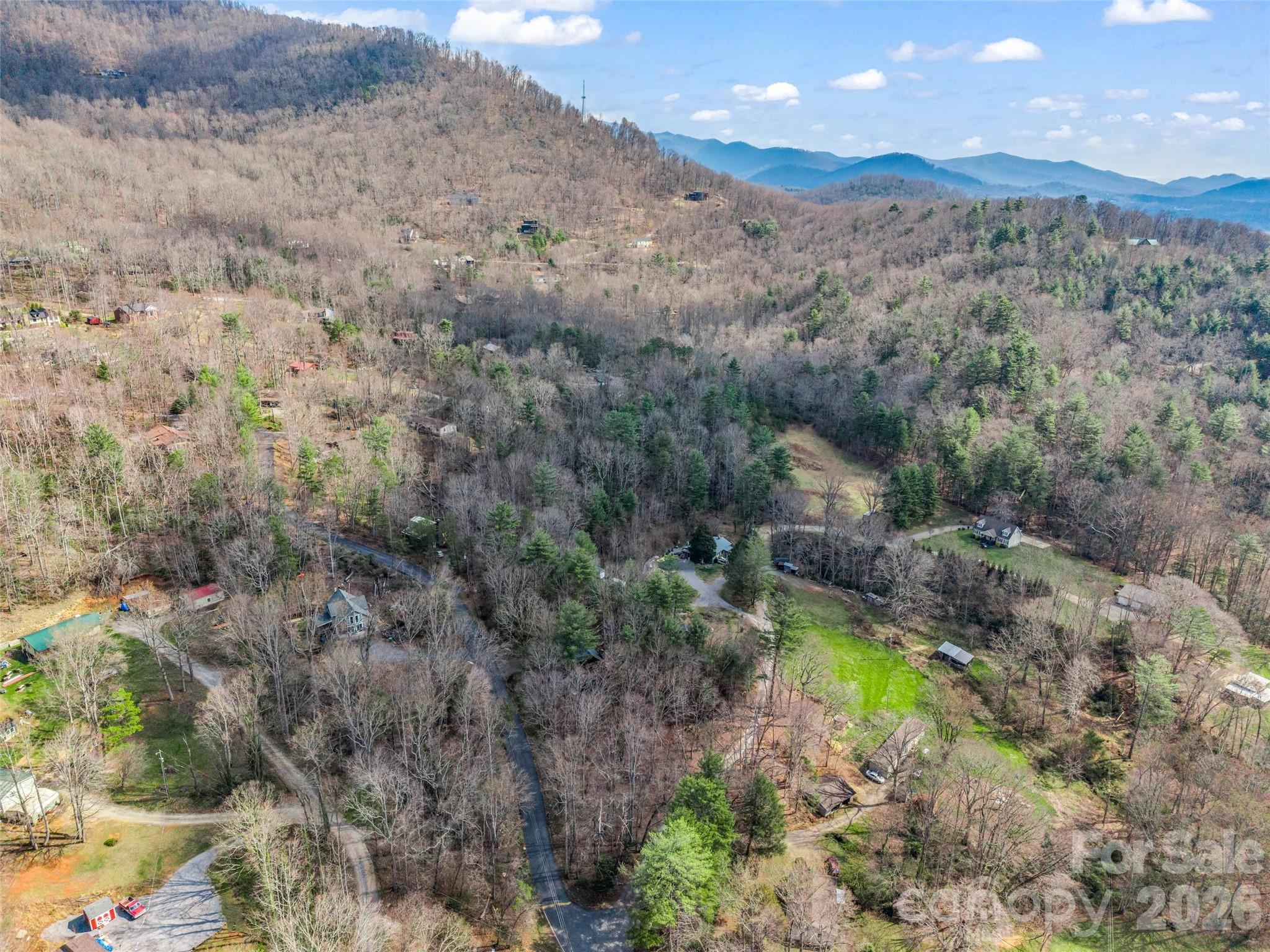 1 Alpine Way Swannanoa, NC 28778 - Photo 8 of 48