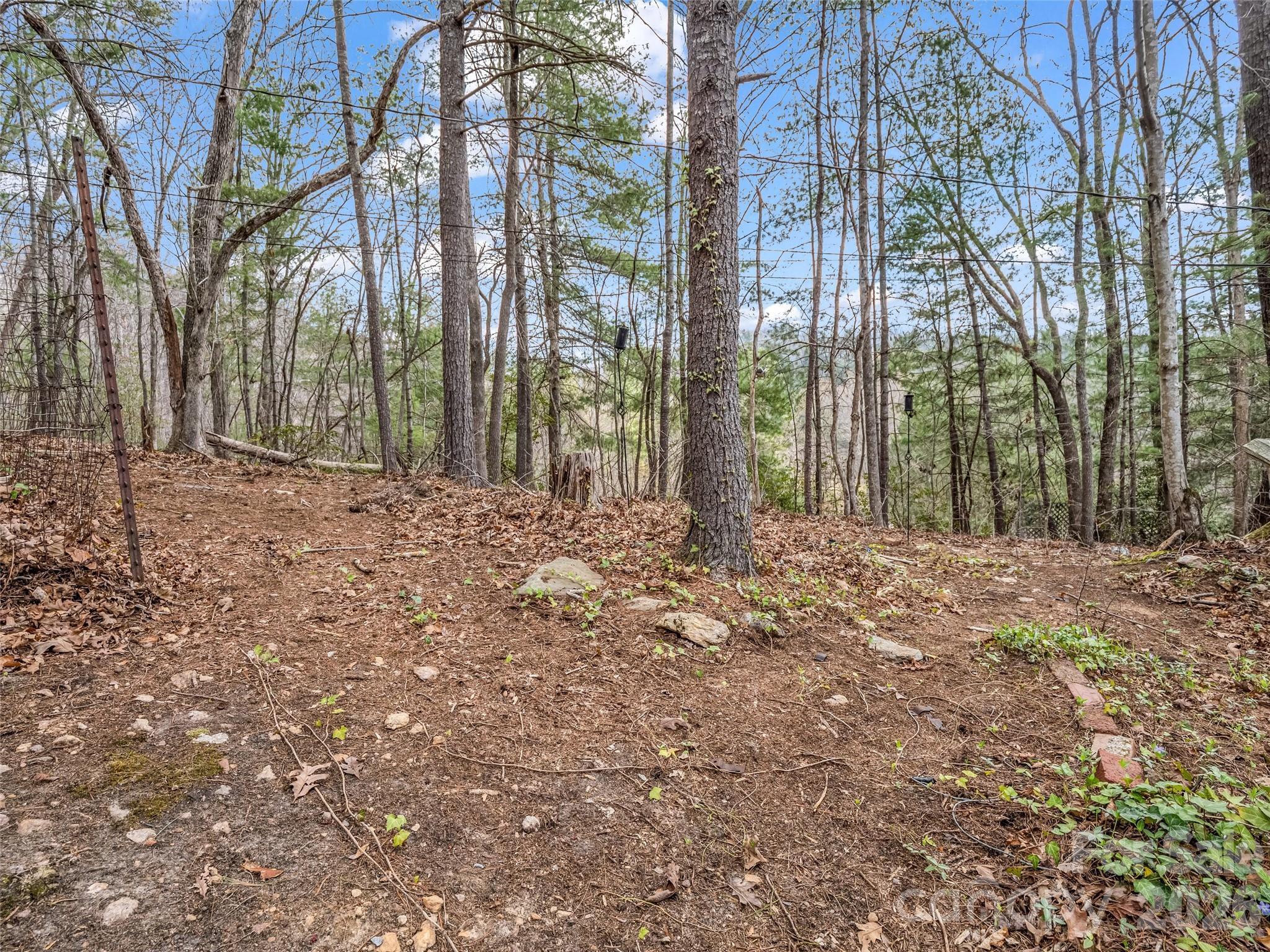 1 Alpine Way Swannanoa, NC 28778 - Photo 10 of 48