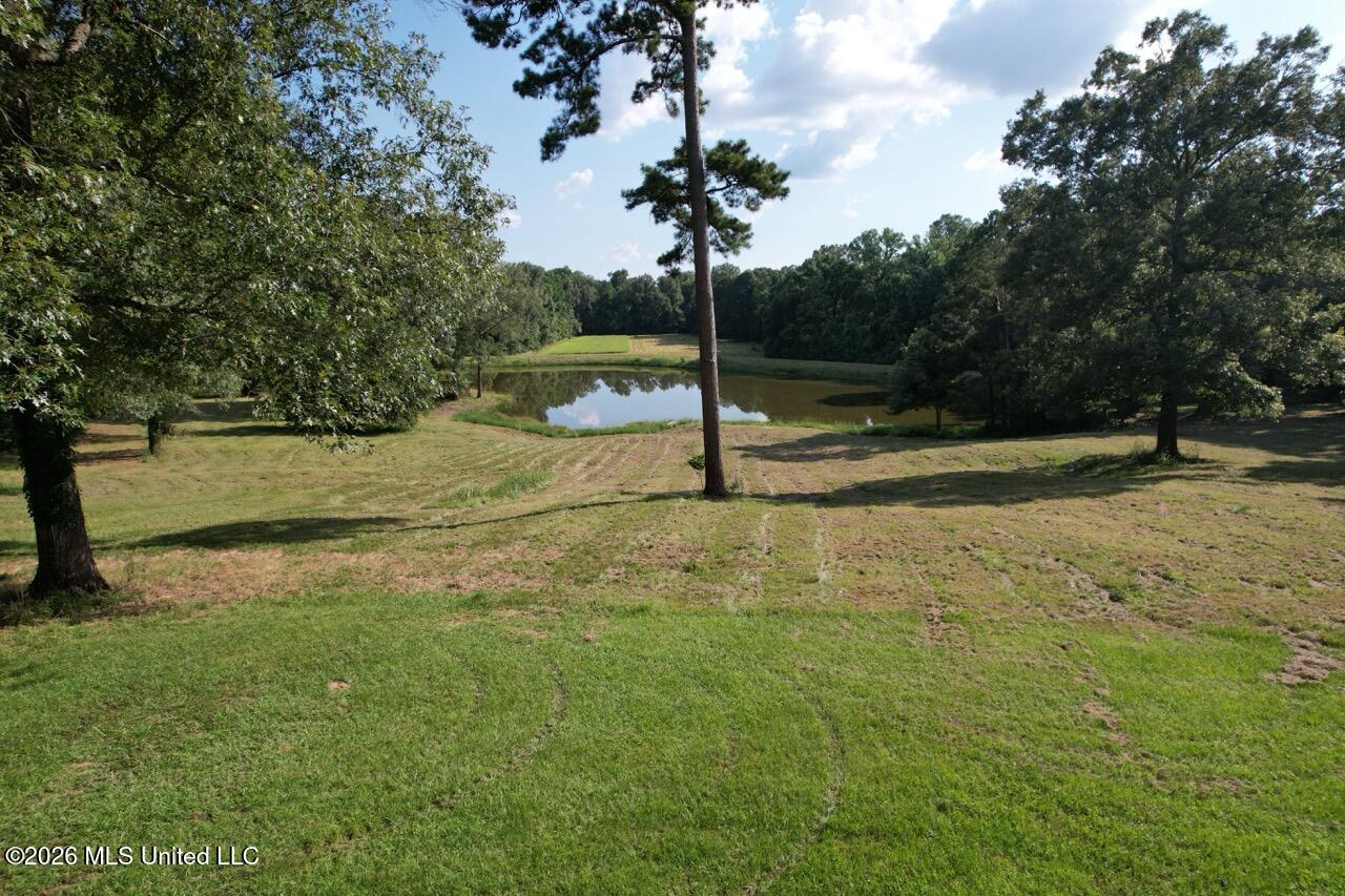 Woodlawn Road Woodville, MS 39669 - Photo 11 of 47 DJI_0281 Large