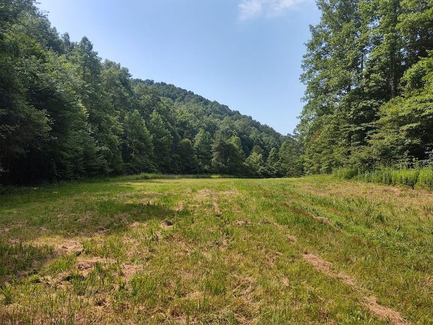 1200 Clearfork Road Morehead, KY 40351 - Photo 78 of 86 Photo 78