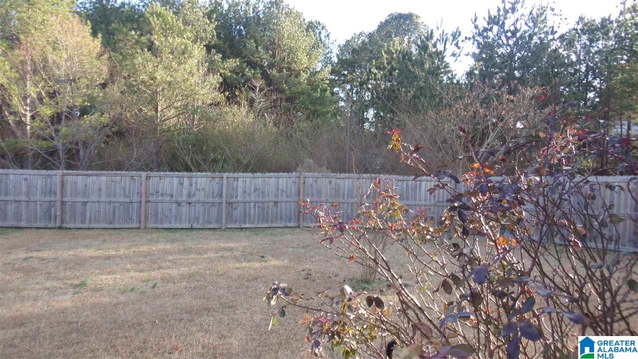 11183 Stone Ridge Court Brookwood, AL 35444 - Photo 23 of 26