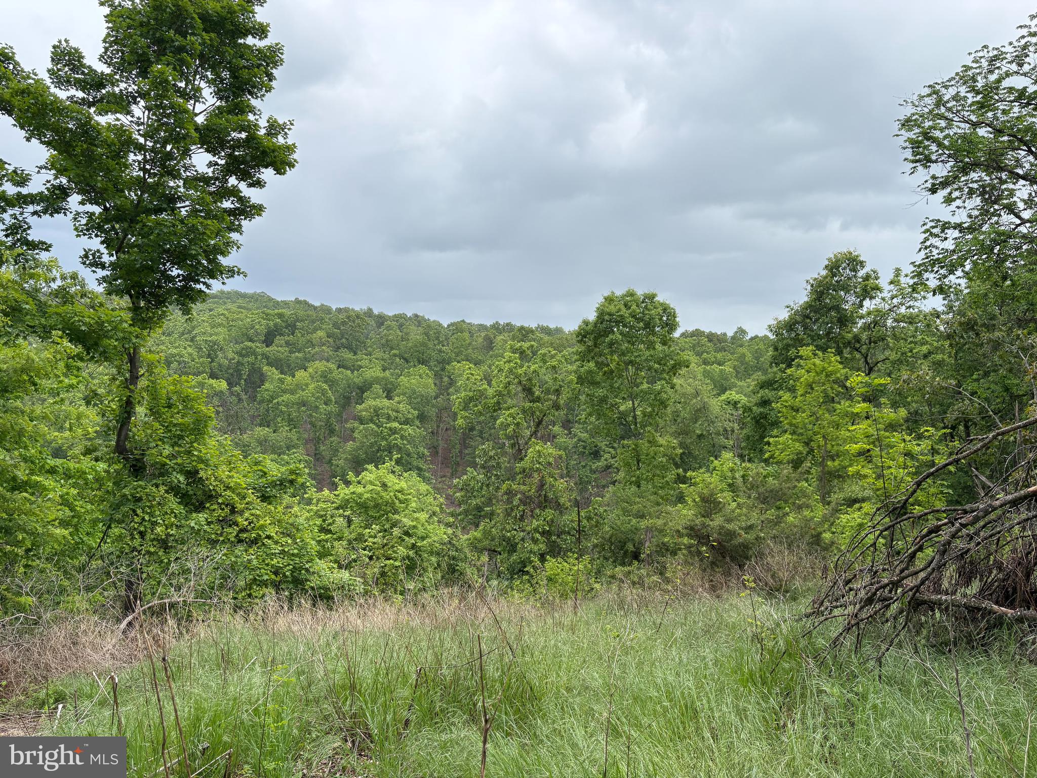 40.15-ac Middle Ridge Road Burlington, WV 26710 - Photo 31 of 47