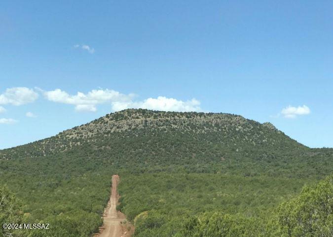 268 Olivas Alone Road Williams, AZ 86046 - Photo 3 of 12