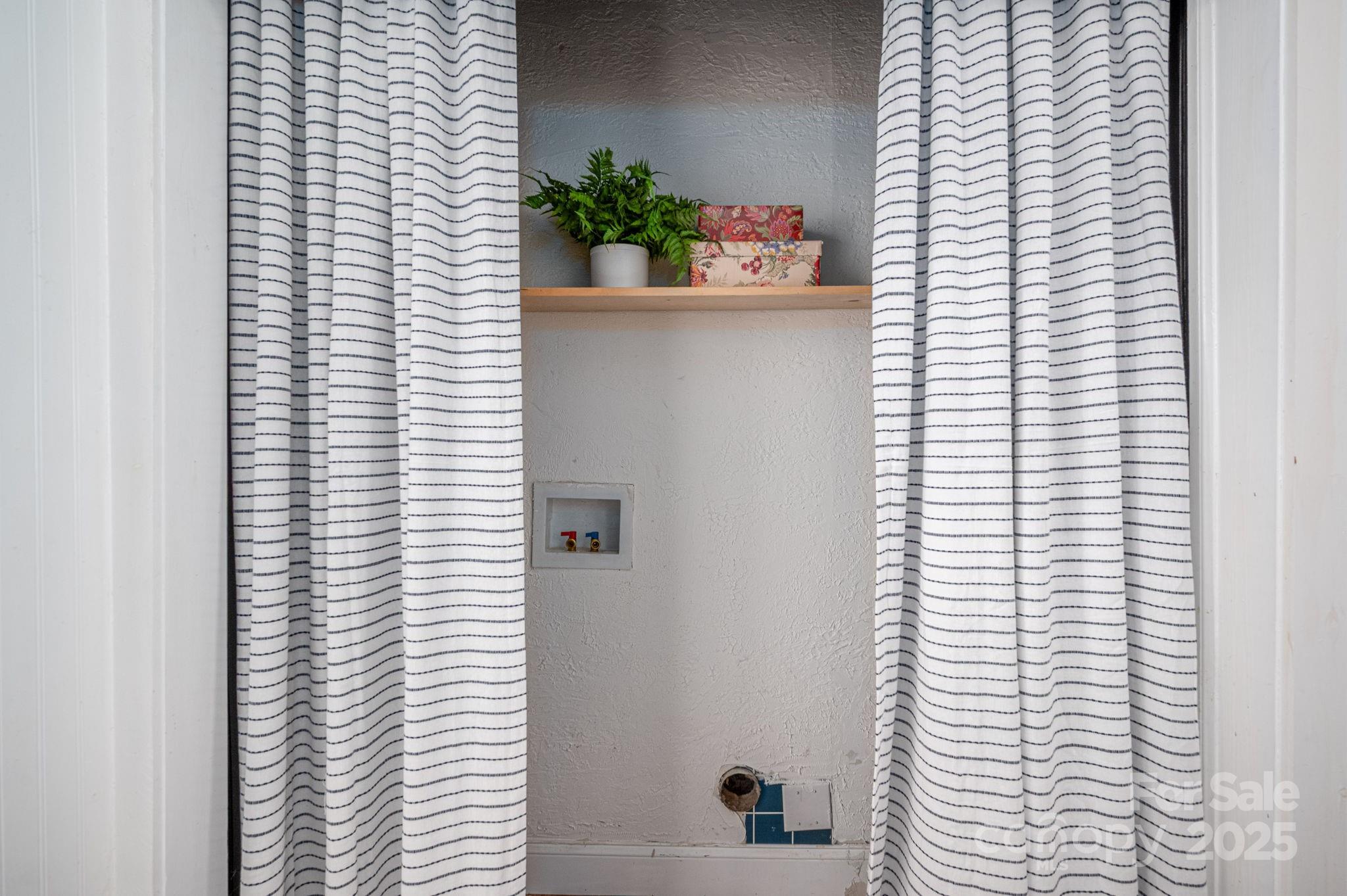 143 Hallman Street Cherryville, NC 28021 - Photo 17 of 31 a close up of a potted plant