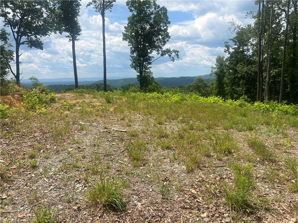 Tbd Wilderness Road Hays, NC 28635 - Photo 13 of 15