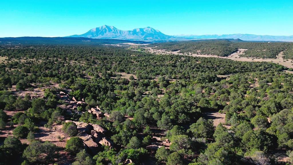 Tbd Bear Creek Road Walsenburg, CO 81089 - Photo 27 of 37