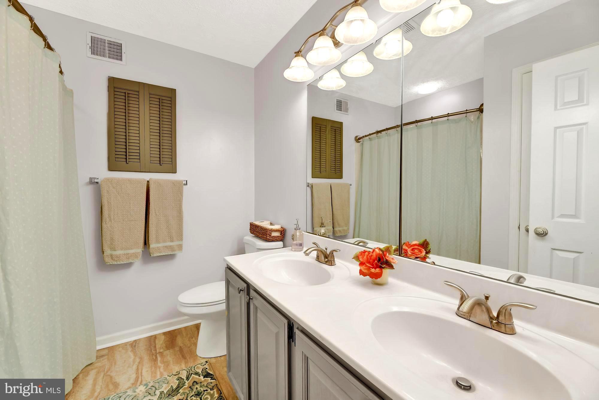 306 Kendigs Mill Road Owings Mills, MD 21117 - Photo 16 of 25 Hall Bathroom with Double Vanity and Closet