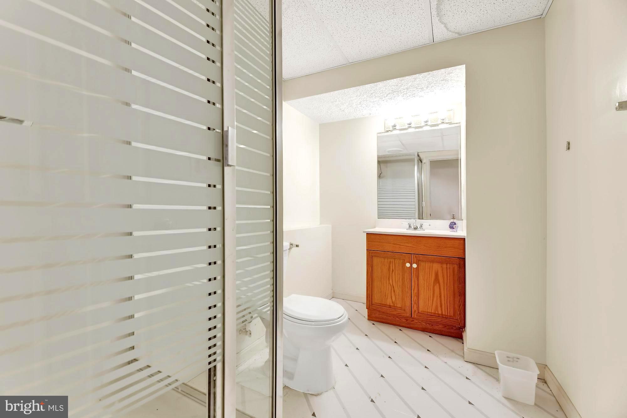 306 Kendigs Mill Road Owings Mills, MD 21117 - Photo 19 of 25 Full bathroom on lower level