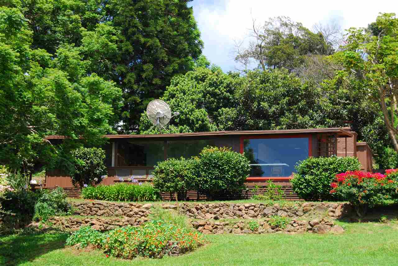 a view of a garden with plants