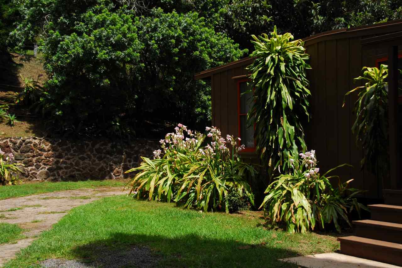 745 Lower Kimo Drive, Unit A Kula, HI 96790 - Photo 16 of 16 a plant that is in front of the house