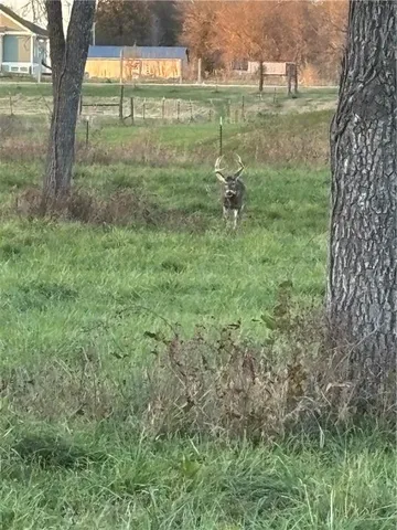 $347,600 | 1350 Us 59 Highway, Princeton, KS 66078