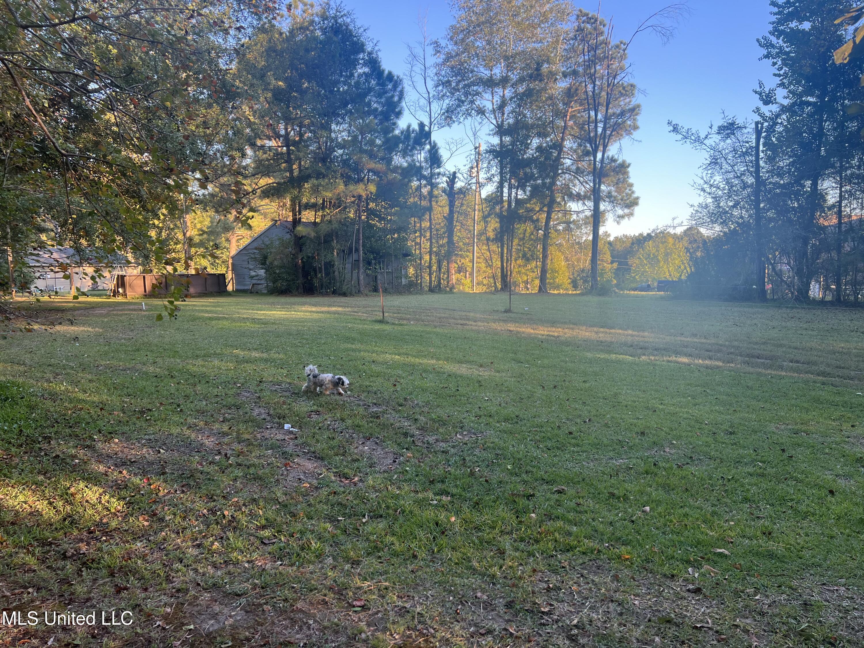 197 Halbert Thames Road Magee, MS 39111 - Photo 5 of 28 78364218365__09656F21-7631-4DEF-8C1B-B01