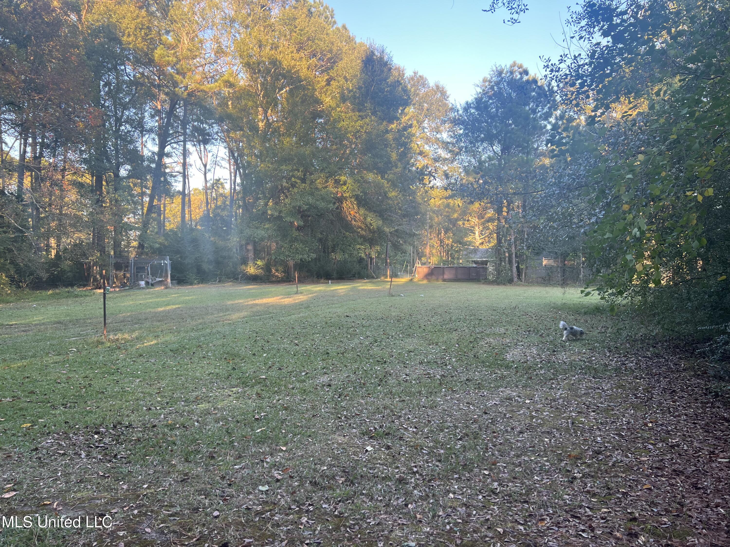 197 Halbert Thames Road Magee, MS 39111 - Photo 7 of 28 78364224995__46946656-2161-496A-AC30-150