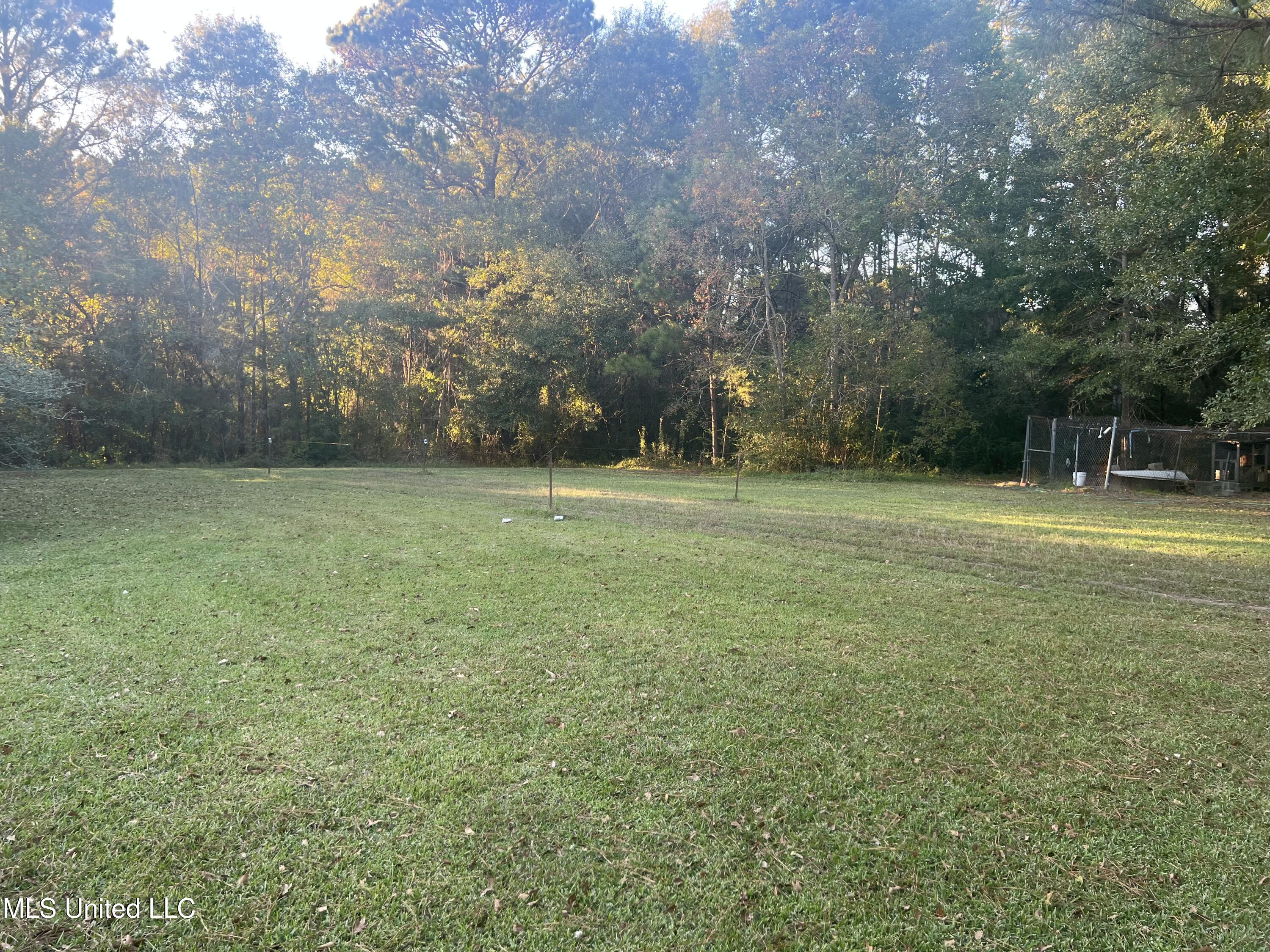 197 Halbert Thames Road Magee, MS 39111 - Photo 8 of 28 78364231741__DC6C4D0B-446F-40A7-9BA2-0AB