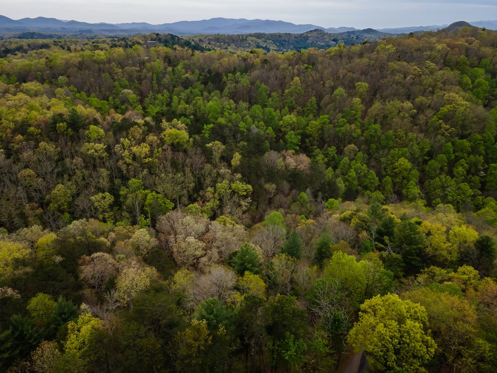 Lot 49 Ravens Ridge Mineral Bluff, GA 30559 - Photo 13 of 23 Gallery Image 13
