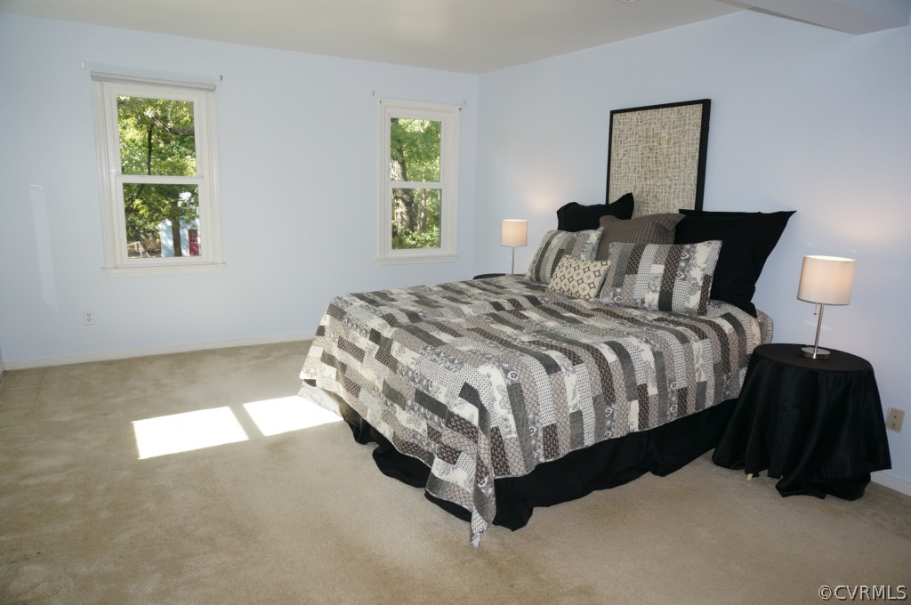 1625 Robindale Road Richmond, VA 23235 - Photo 11 of 24 Gallery Image 11