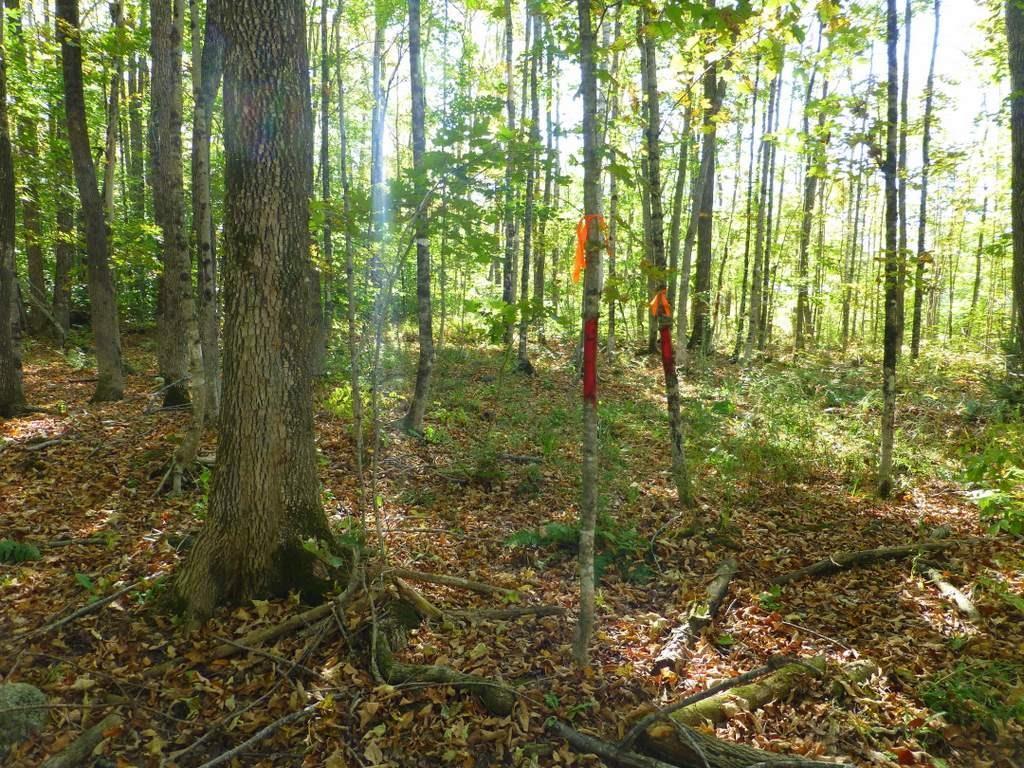 Tbd Weeks Mills Road Farmington, ME 04938 - Photo 10 of 20 Photo