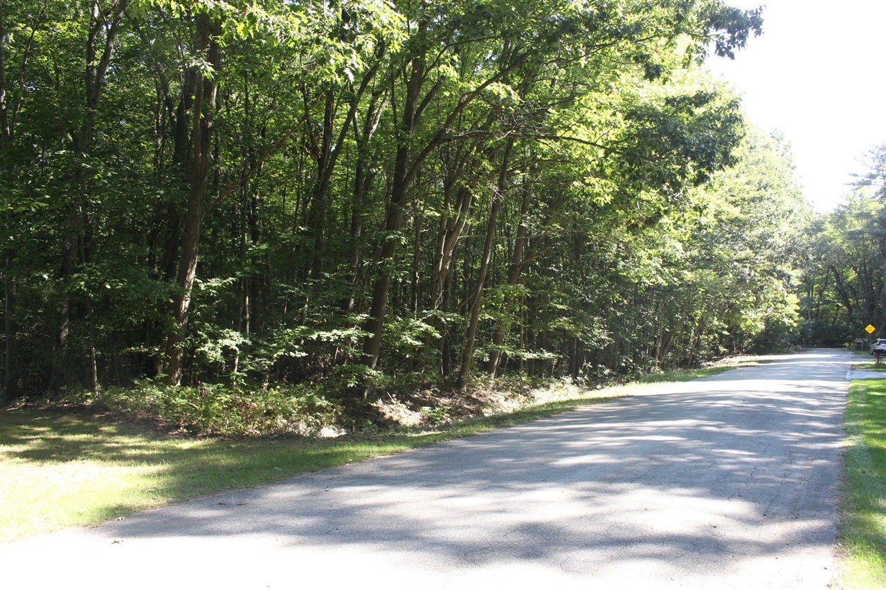 4.26 A Madsen Road Birch Run, MI 48415 - Photo 12 of 24 Gallery Image 12