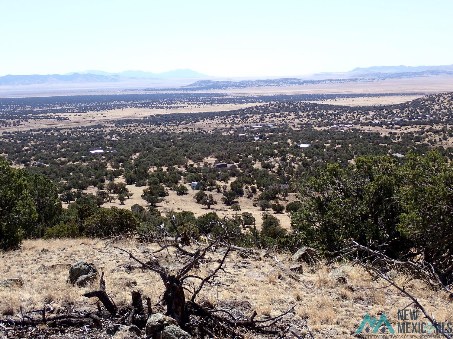 Xx Tanglewood Circle Datil, NM 87821 - Photo 1 of 18 Gallery Image 1