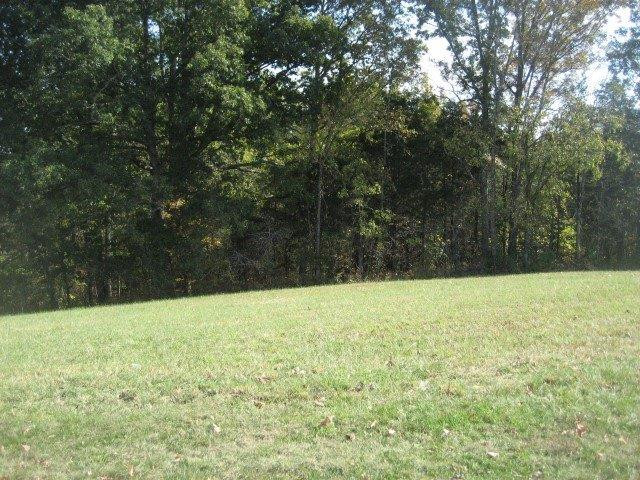 1925 Timber Creek Road Lawrenceburg, KY 40342 - Photo 11 of 20 Photo 11