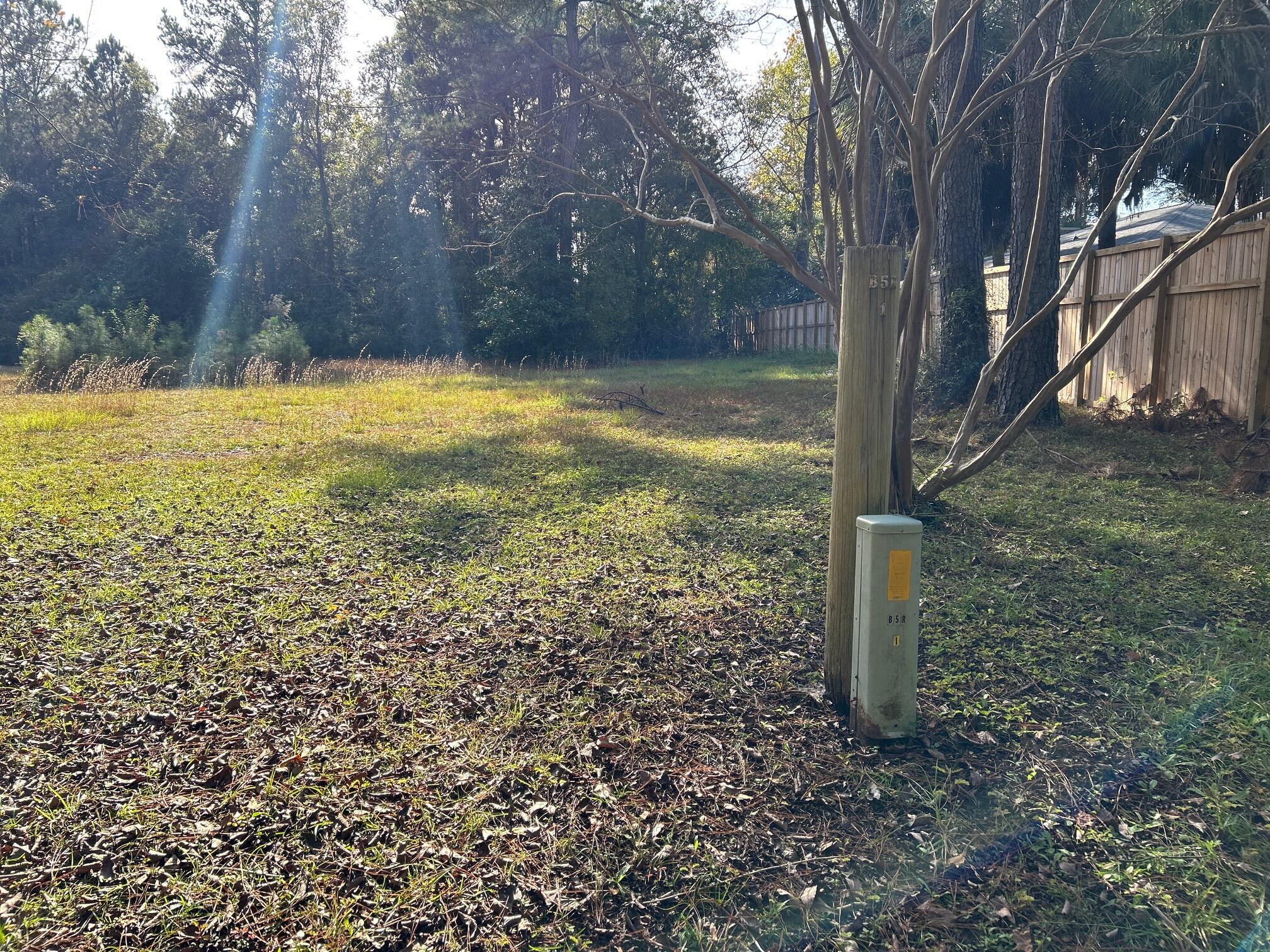 0 Acline Avenue St. Stephen, SC 29479 - Photo 2 of 2 image0 (6)