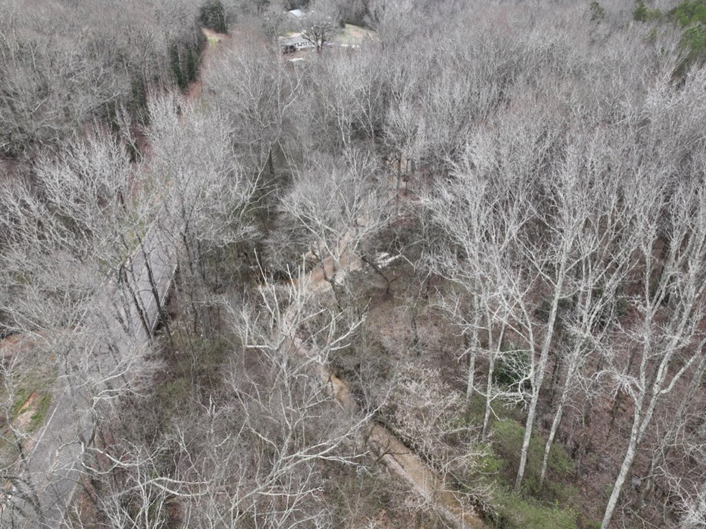 799 Firetower Road Honea Path, SC 29654 - Photo 2 of 17