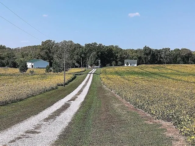 $725,000 | 21617 Emerald Road, Carlyle, IL 62231