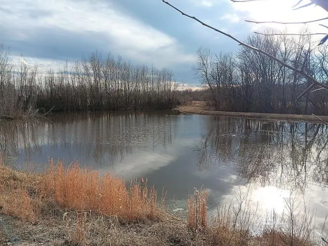 $725,000 | 21617 Emerald Road, Carlyle, IL 62231