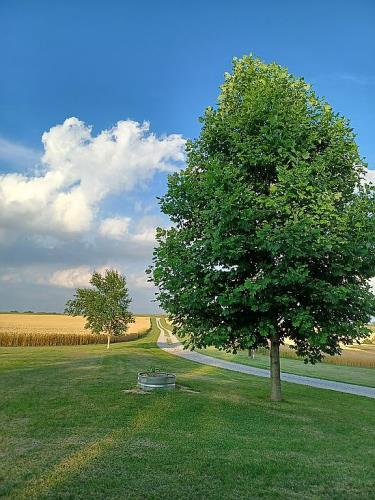 21617 Emerald Road Carlyle, IL 62231 - Photo 10 of 66