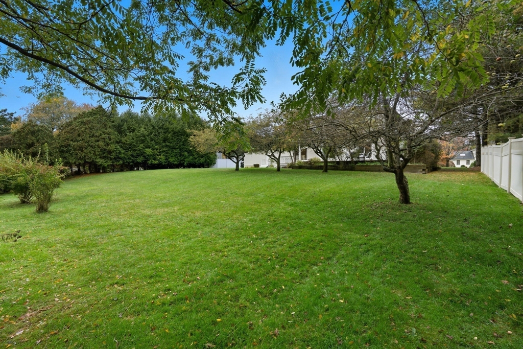 98 Lilah Lane Reading, MA 01867 - Photo 3 of 37 a view of a park with large trees
