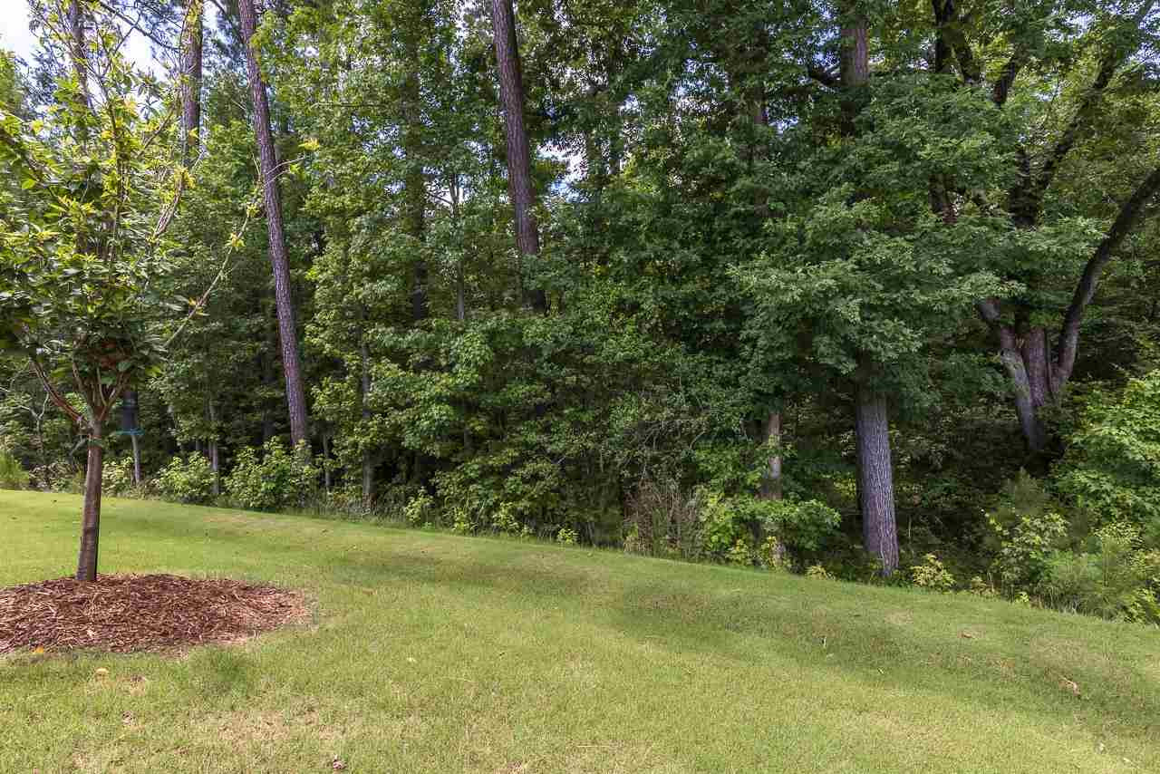613 Tuttle Road Durham, NC 27703 - Photo 23 of 30 Notice the large shade trees that bring relief from the sun in the early afternoon - the reason behind the $30,000 lot upgrade! Backyard