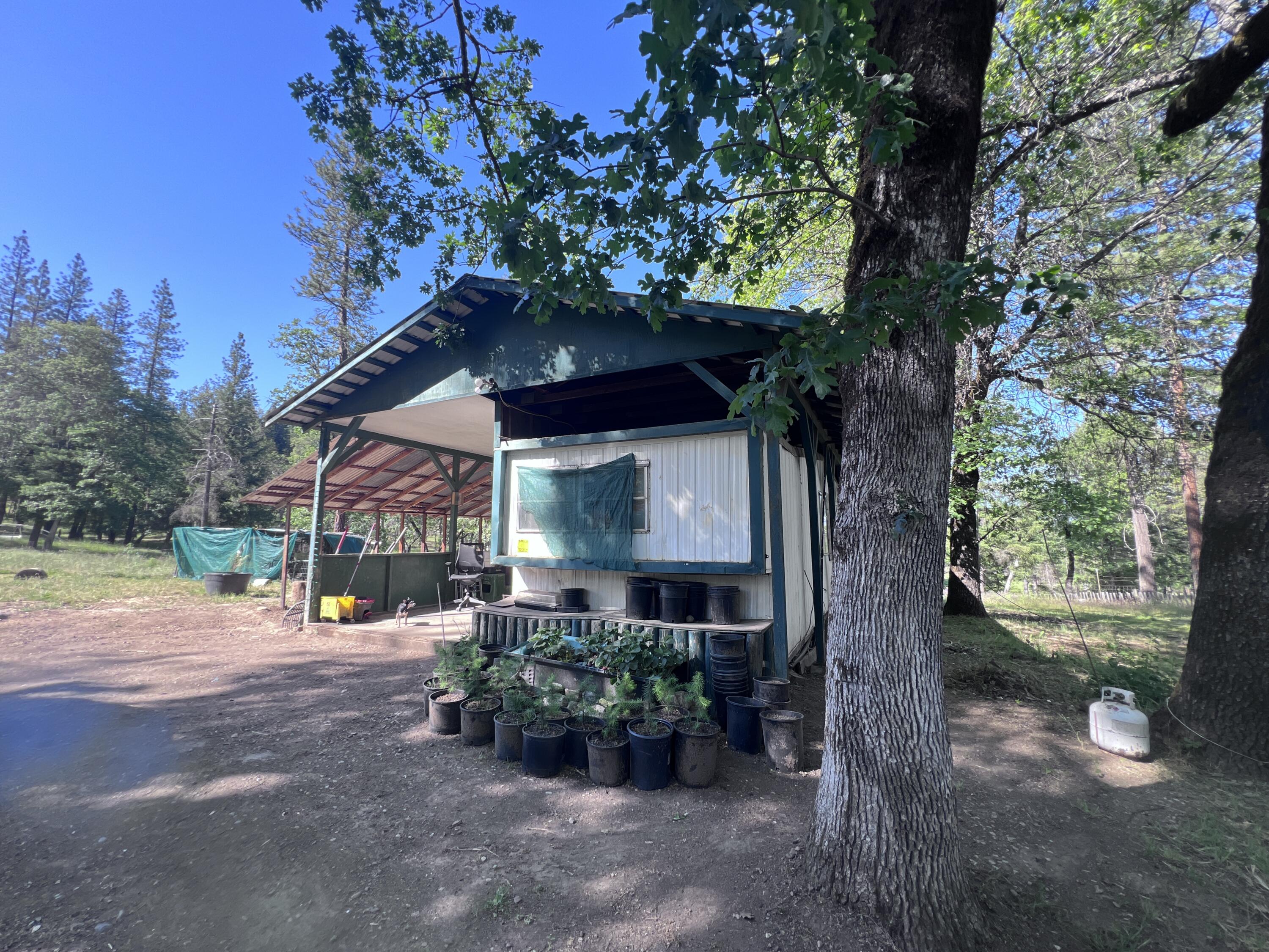 1411 Mc Alexander Road Hayfork, CA 96041 - Photo 5 of 38 Un-permitted fixer mobile