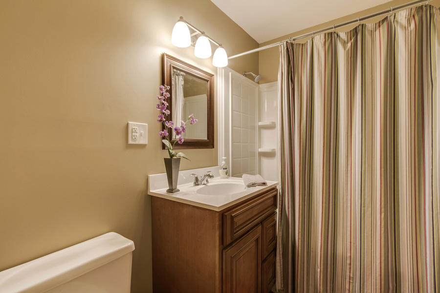 820 Red Cloud Road Ten Mile, TN 37880 - Photo 11 of 40 11_RedCloudRoad_820_GuestBath