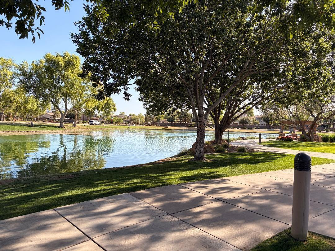 3872 East Simpson Road Gilbert, AZ 85297 - Photo 25 of 25 a view of a garden with trees