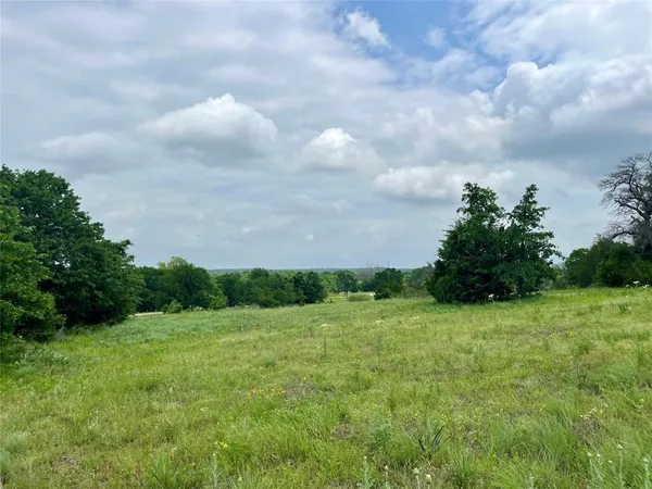 $94,900 | Lot 13 Arlow Road, Poolville, TX 76487