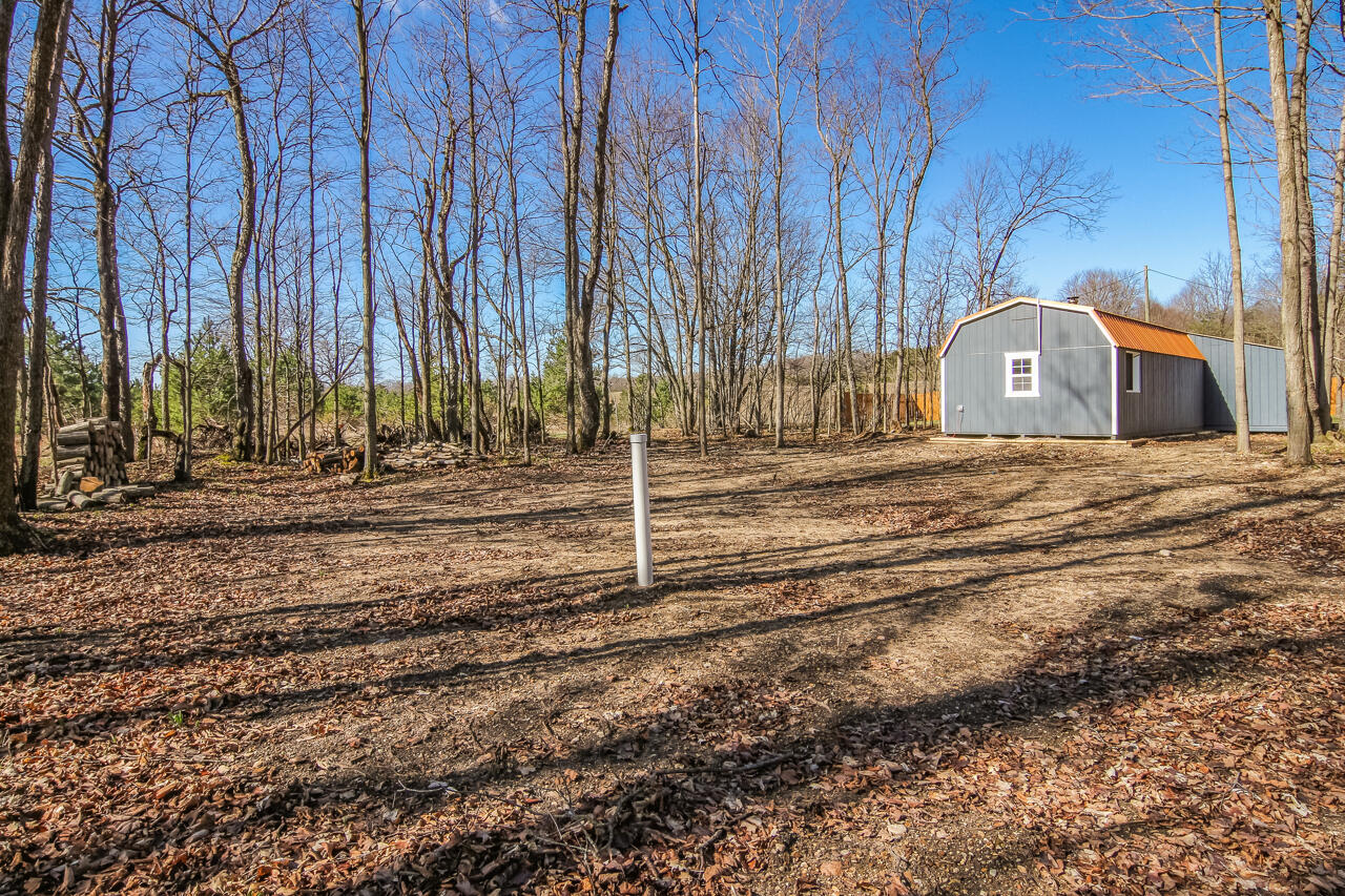 14269 Litzen Road Copemish, MI 49625 - Photo 23 of 44 3-Scene-3