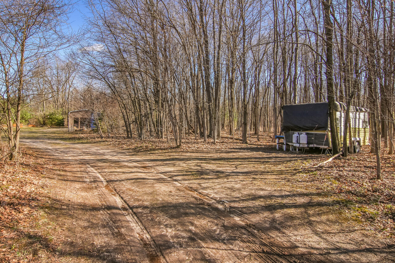 14269 Litzen Road Copemish, MI 49625 - Photo 34 of 44 1-Scene-1