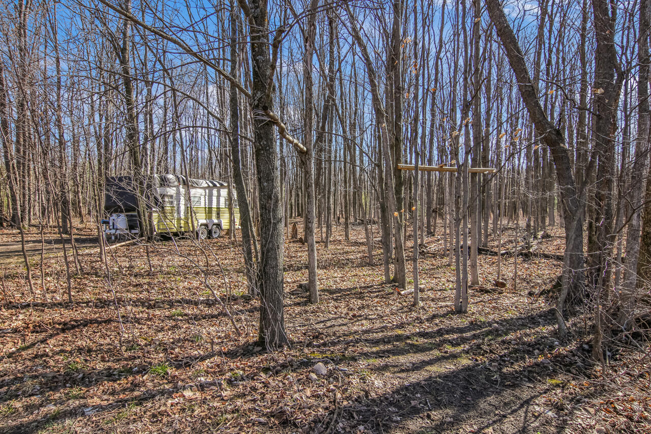 14269 Litzen Road Copemish, MI 49625 - Photo 35 of 44 2-Scene-2