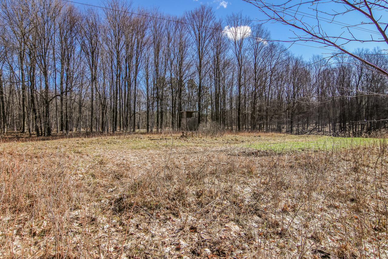 14269 Litzen Road Copemish, MI 49625 - Photo 36 of 44 31-Scene-31