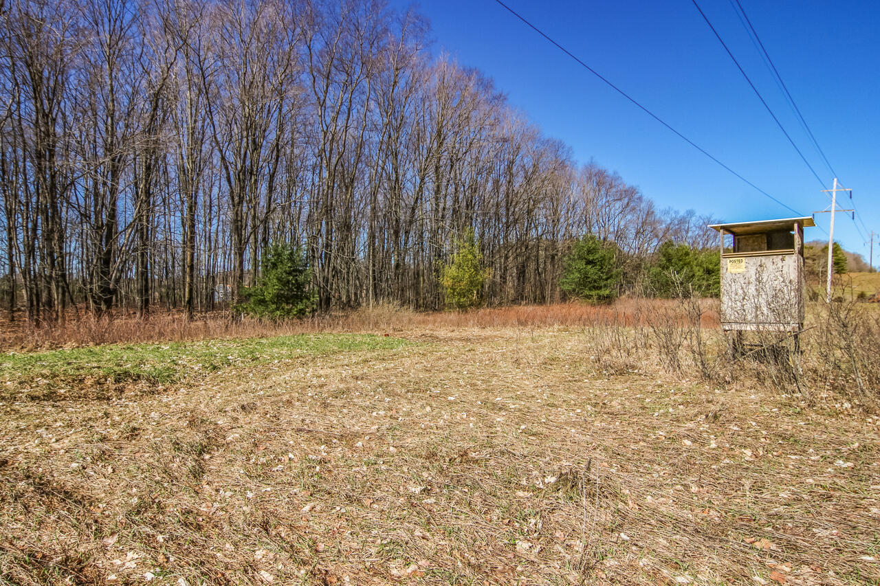 14269 Litzen Road Copemish, MI 49625 - Photo 37 of 44 32-Scene-32