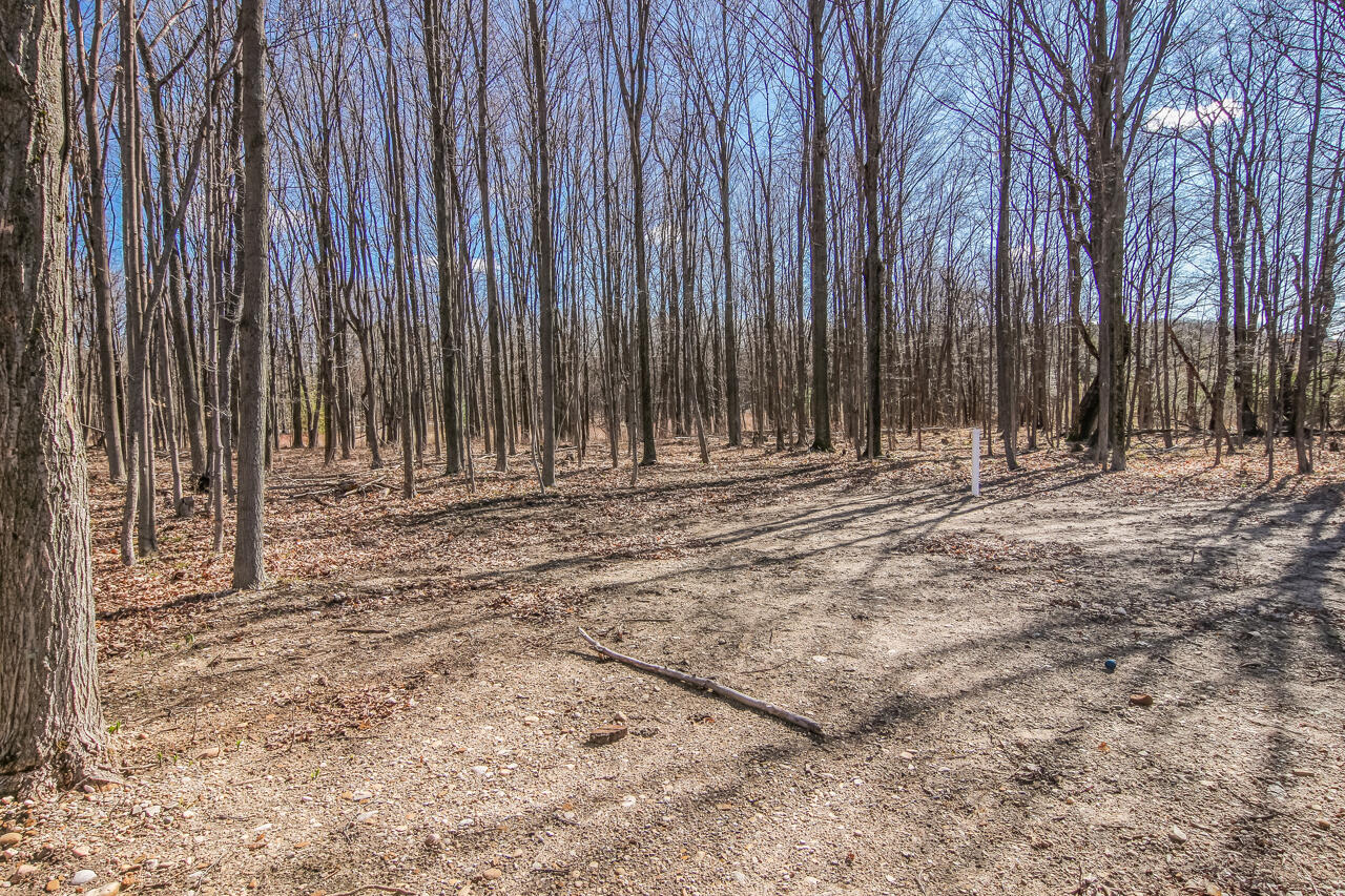 14269 Litzen Road Copemish, MI 49625 - Photo 40 of 44 38-Scene-38
